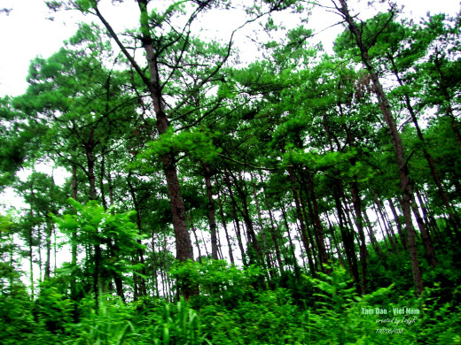25391 (a): :1600x1200